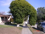DSC08586.JPG