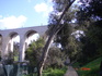 DSC08825.JPG