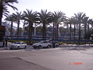 DSC08840.JPG